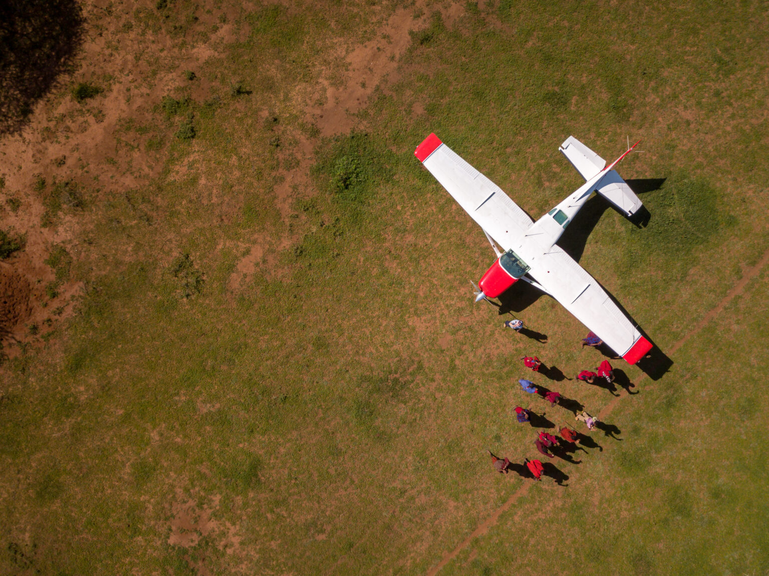 MAF has partnered with Angelika for 40 years (credit: Mark & Kelly Hewes)