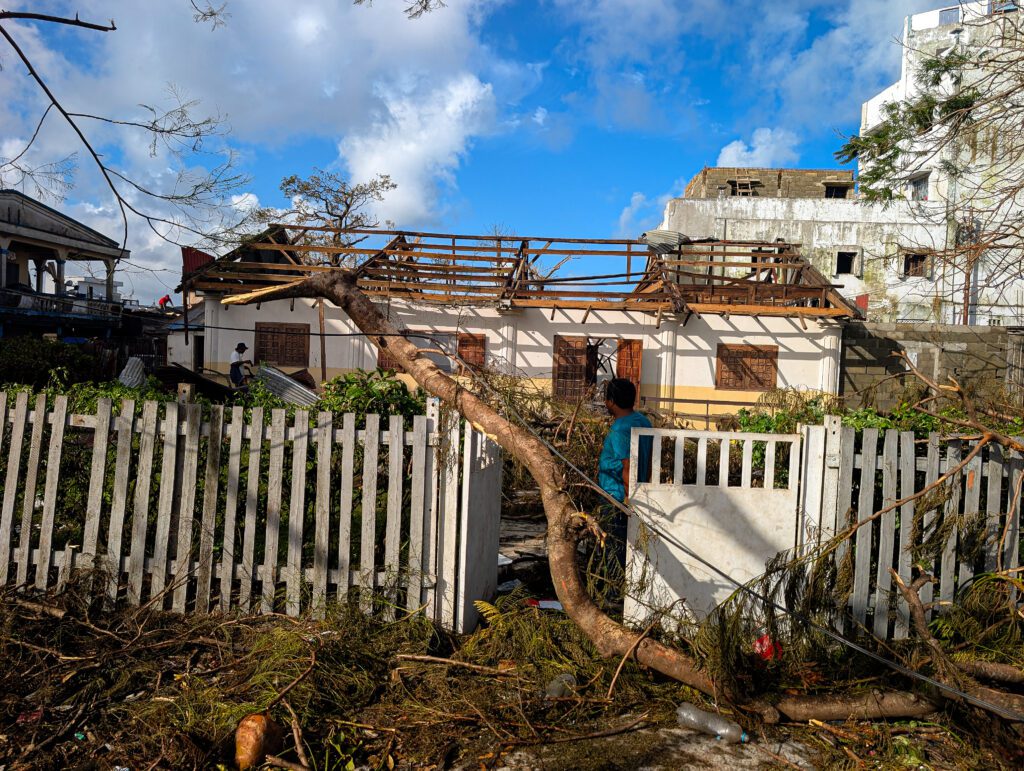 Uprooted trees are a common sight across Toamasina (credit: Gino Antsa Randrianasolo)