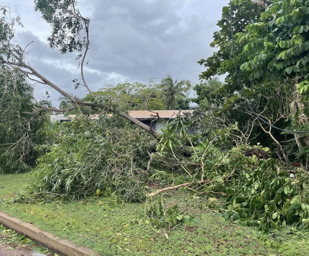 An uprooted tree fell on one of MAF’s staff houses (credit: James Gullett)
